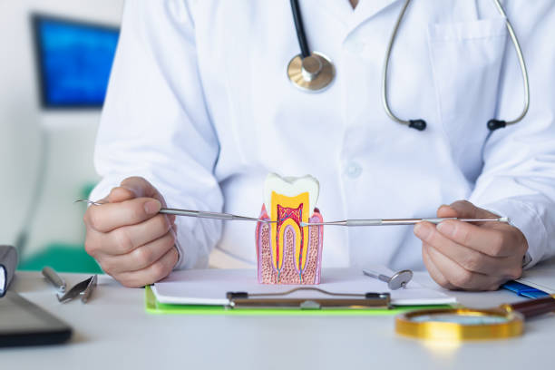Best Dental Abscess Treatment in Park Hill, OK
